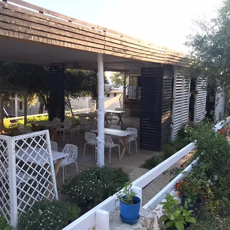 Albanian Garden Gjilek